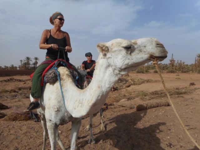 Hotel Carrefour Des Nomades マハミド エクステリア 写真